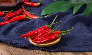 2024云游戏行业市场前瞻：云游戏将成为市场越九游娱乐官网来越重要的组成部分(图4)