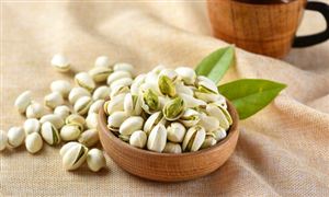 2024云游戏行业市场前瞻：云游戏将成为市场越九游娱乐官网来越重要的组成部分(图5)